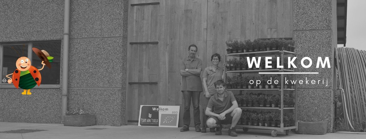 Eco Kamerplanten Eco-Kamerplanten