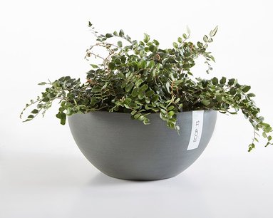 Ecopots Brussels 30 cm - bloemen/plantenbak Ecopots Brussels 30 cm - bloemen/plantenbak