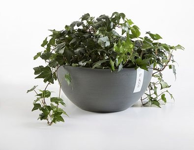 Ecopots Brussels 25 cm - bloemen/plantenbak Ecopots Brussels 25 cm - bloemen/plantenbak