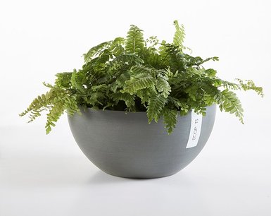 Ecopots Brussels 35 cm - bloemen/plantenbak Ecopots Brussels 35 cm - bloemen/plantenbak