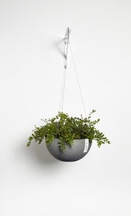 Ecopots Hangend Brussels 27 cm - bloemen/plantenbak Ecopots Hangend Brussels 27 cm - bloemen/plantenbak