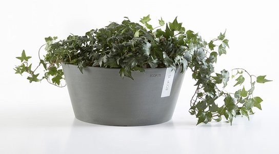 Ecopots Frankfurt 30 cm - bloemen/plantenbak Ecopots Frankfurt 30 cm - bloemen/plantenbak