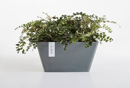 Ecopots Berlin 40 cm - bloemen/plantenbak Ecopots Berlin 40 cm - bloemen/plantenbak