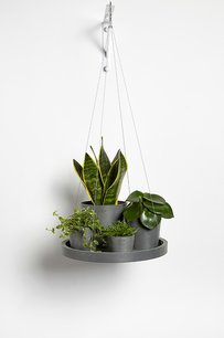 Ecopots hangend 'hangende schotel' 36 cm Ecopots hangend 'hangende schotel' 36 cm