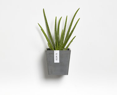 Ecopots Manhattan 15 cm - Hangend- bloemen/plantenbak Ecopots Manhattan 15 cm - Hangend- bloemen/plantenbak