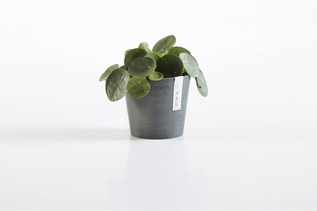 Ecopots Amsterdam mini rond 10,5 cm - planten/bloembak-pot Ecopots Amsterdam mini rond 10,5 cm - planten/bloembak-pot