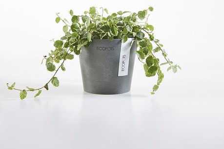 Ecopots Amsterdam mini rond 13 cm - planten/bloembak-pot Ecopots Amsterdam mini rond 13 cm - planten/bloembak-pot