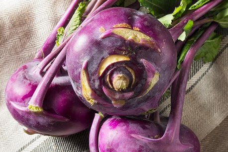 Koolrabi 'Delikatess Blauwe' – Brassica oleracea - Bio groentezaden Koolrabi 'Delikatess Blauwe' – Brassica oleracea - Bio groentezaden
