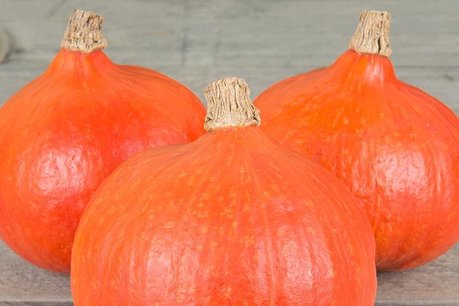 Pompoen 'Fictor' – Cucurbita maxima - Bio groentezaden Pompoen 'Fictor' – Cucurbita maxima - Bio groentezaden