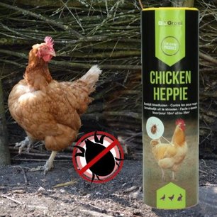 Roofmijten tegen bloedluis | Chickenheppie Roofmijten tegen bloedluis | Chickenheppie