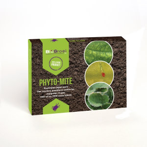Roofmijten tegen spint | Phyto-mite Roofmijten tegen spint | Phyto-mite