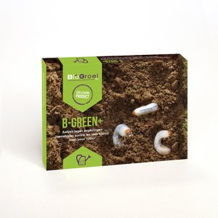 Aaltjes tegen engerlingen | B-green+ Aaltjes tegen engerlingen | B-green+