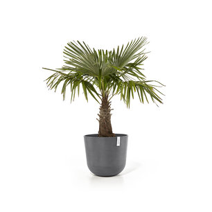 Ecopots Oslo 55 cm - planten/bloembak-pot Ecopots Oslo 55 cm - planten/bloembak-pot