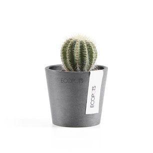 Ecopots Amsterdam mini rond 8 cm - planten/bloembak-pot Ecopots Amsterdam mini rond 8 cm - planten/bloembak-pot