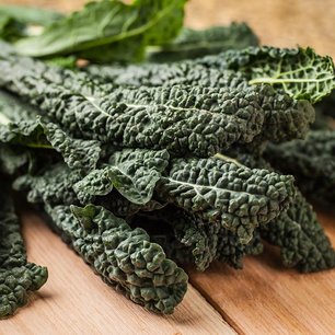 Palmkool 'Nero di Toscana' – Brassica oleracea - Bio groentezaden Palmkool 'Nero di Toscana' – Brassica oleracea - Bio groentezaden