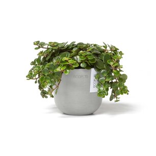Ecopots Oslo mini 11,5 cm wit grijs - planten/bloembak-pot Ecopots Oslo mini 11,5 cm wit grijs - planten/bloembak-pot