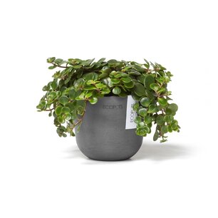 Ecopots Oslo mini 11,5 cm grijs - planten/bloembak-pot Ecopots Oslo mini 11,5 cm grijs - planten/bloembak-pot