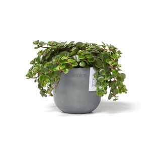 Ecopots Oslo mini 11,5 cm blauw grijs - planten/bloembak-pot Ecopots Oslo mini 11,5 cm blauw grijs - planten/bloembak-pot