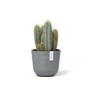 Ecopots Oslo mini 16 cm blauw grijs - planten/bloembak-pot Ecopots Oslo mini 16 cm blauw grijs - planten/bloembak-pot