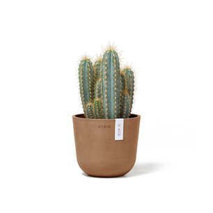 Ecopots Oslo mini 16 cm terracotta - planten/bloembak-pot Ecopots Oslo mini 16 cm terracotta - planten/bloembak-pot