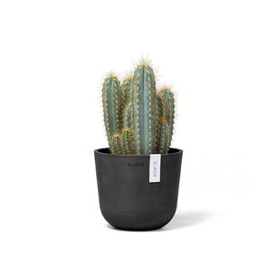 Ecopots Oslo mini 16 cm donker grijs - planten/bloembak-pot Ecopots Oslo mini 16 cm donker grijs - planten/bloembak-pot