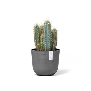 Ecopots Oslo mini 16 cm grijs - planten/bloembak-pot Ecopots Oslo mini 16 cm grijs - planten/bloembak-pot