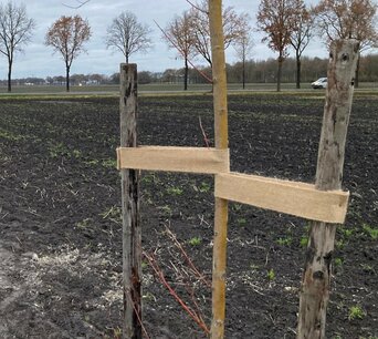 Boomband - Jute - 25 meter Boomband - Jute - 25 meter